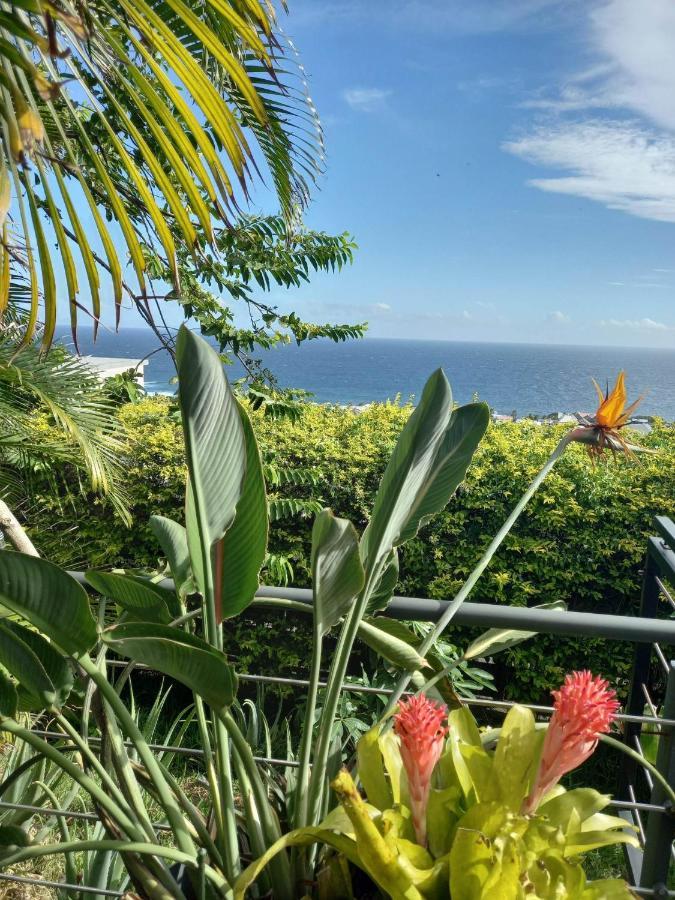 Suite Indigo Jacuzzi Prive Piscine Vue Mer Acces Cuisine Laverie Saint Pierre Eksteriør billede