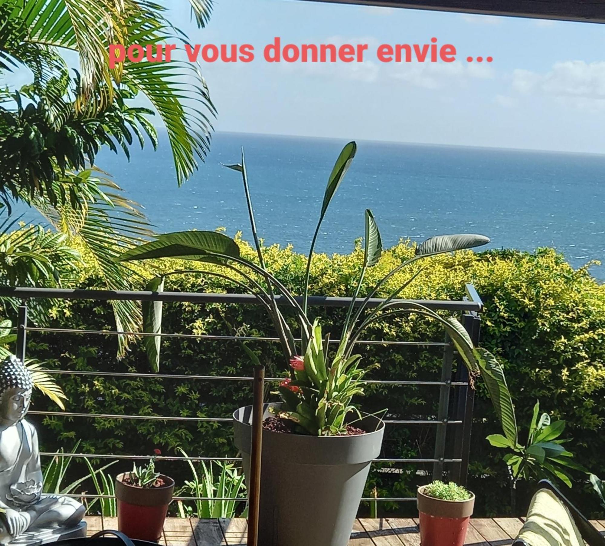 Suite Indigo Jacuzzi Prive Piscine Vue Mer Acces Cuisine Laverie Saint Pierre Eksteriør billede
